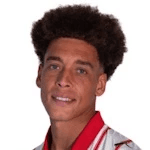 Axel Laurent Angel Lambert Witsel